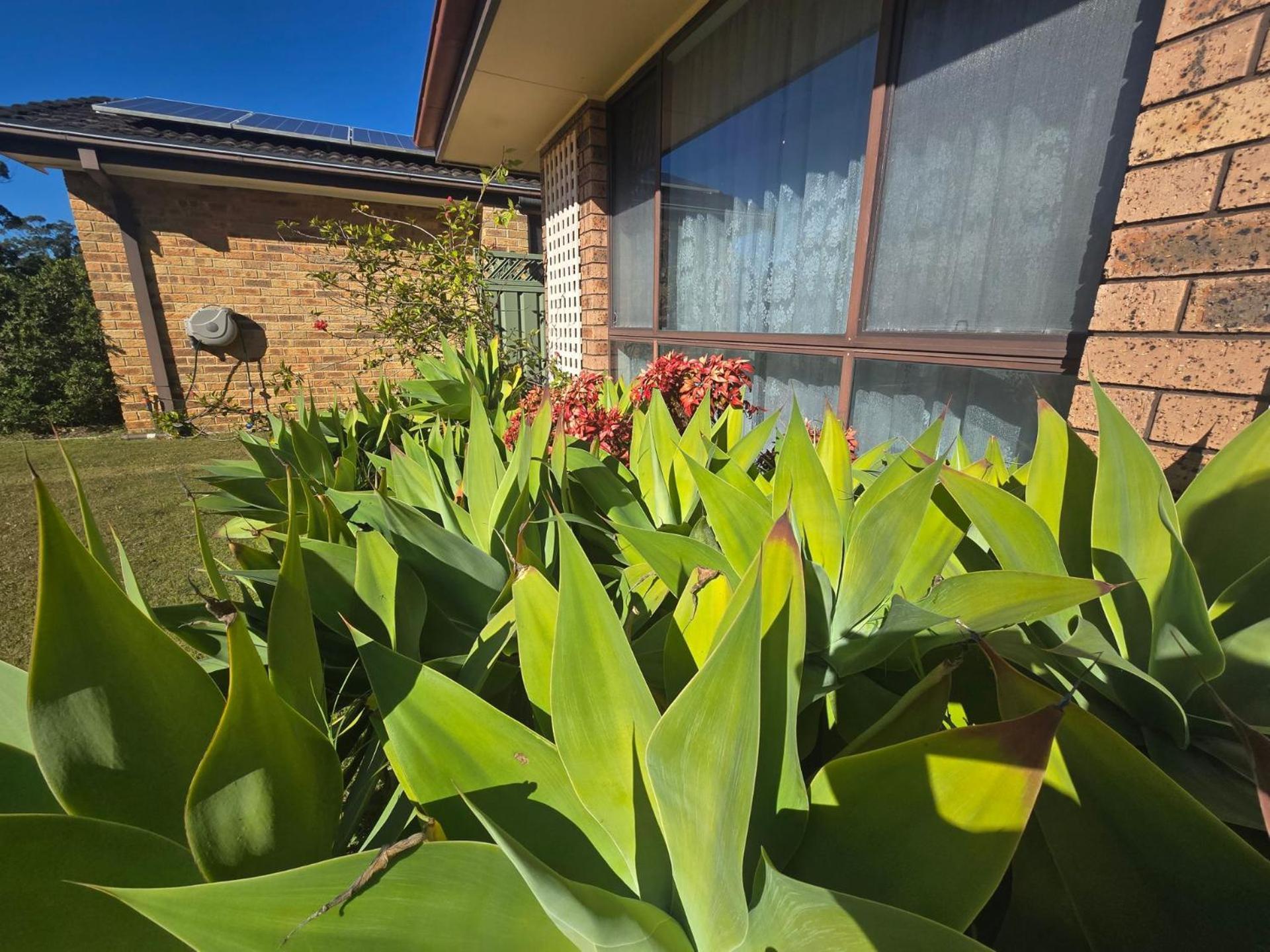 Seascape Macleay Street Villa Narrawallee Exterior foto